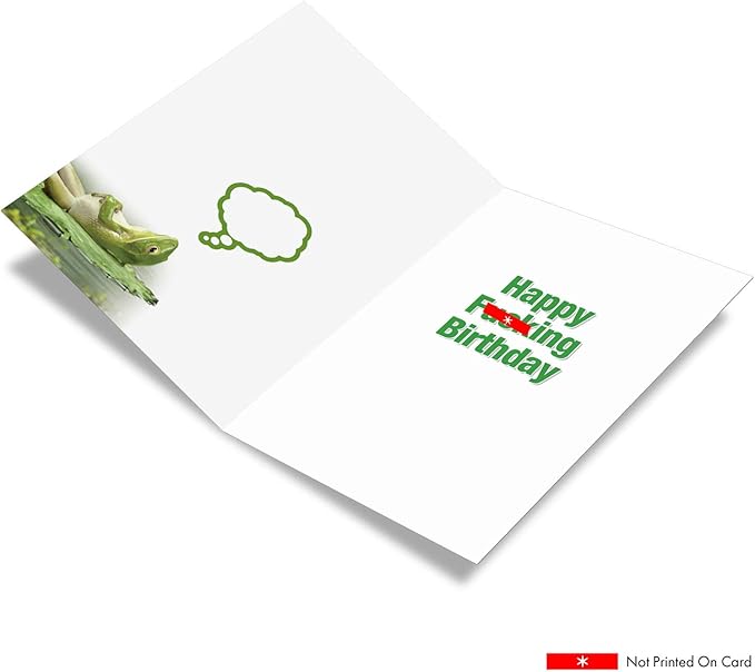 NobleWorks Funny Birthday Greeting Card with 5 x 7 Inch Envelope (1 Card) Bday Not A Single F 8032