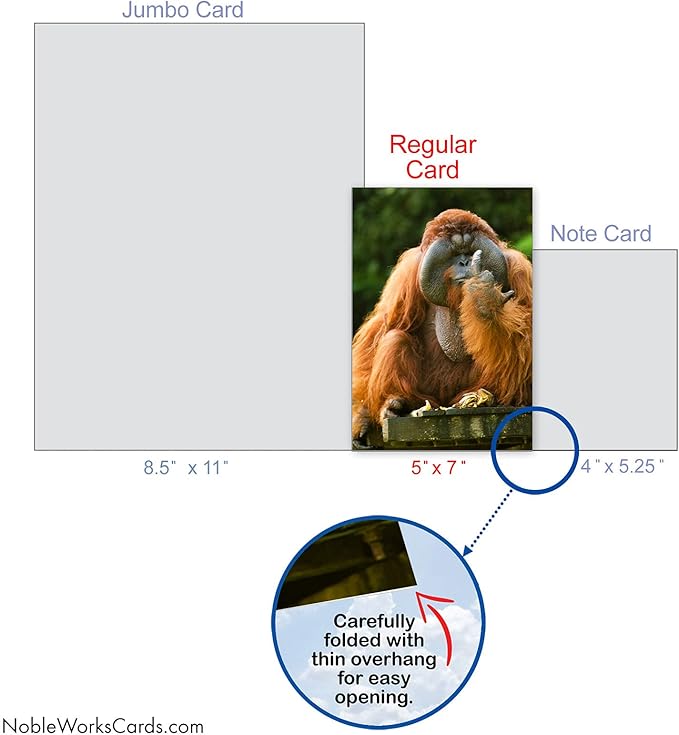 NobleWorks - Birthday Greeting Card with 5 x 7 Inch Envelope (1 Card), Fun Animal Bday Celebration - Flipping Monkey - Orangutan C9516DBDG