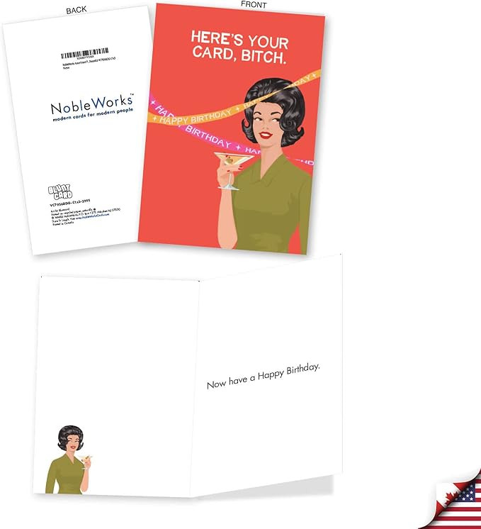 NobleWorks Assortment Pack of 3 Funny Birthday Greeting Cards with Envelopes (3 Designs, 1 Each) Blunt and Beautiful VC7956BDG-C1x3