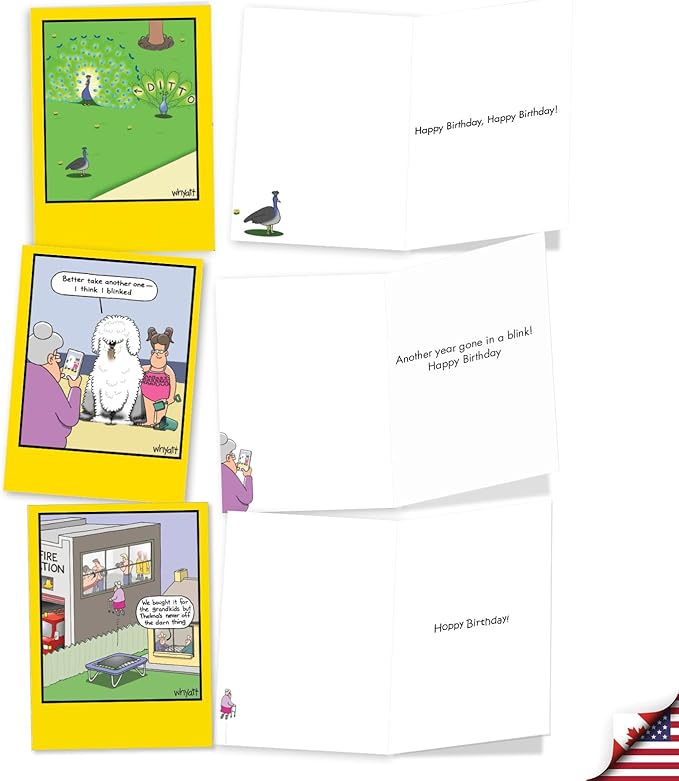 NobleWorks 20 Assorted Box Set Funny Birthday Greeting Cards w/5 x 7 Inch Envelopes (10 Designs, 2 Each) Bday Whyatt's Wide World AC9177BDG-B2x10