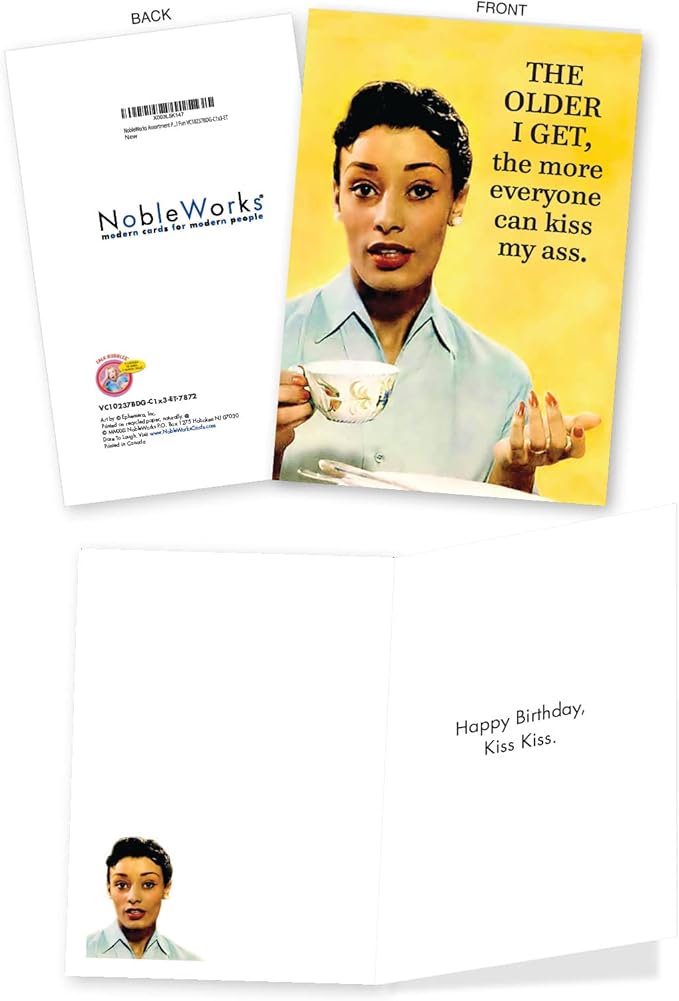 NobleWorks Assortment Pack of 3 Humorous Birthday Greeting Cards w/Envelopes (3 Designs, 1 Each) Colorful Fun VC10237BDG-C1x3-ET