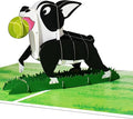 Boston Terrier Pop Up Greeting Cards with Blank Note & Envelope, ideal celebration gift for Friendship, Love, Anniversary, Special Moments, Inspirational, Appreciated, Birthday