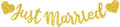 BEISHIDA Gold Just Married Banner - NO DIY, Glitter Wedding Party Banner,Just Married Signs, Bachelorette/Bridal Garland,Engagement Party Decor Supplies, Wedding Reception Party Decorations.