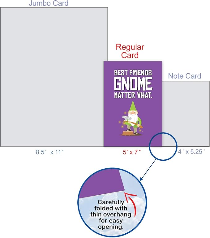 The Best Card Company Funny Birthday Greeting Card w/ 5 x 7 Envelope for Men and Women (1 Card) Friendly Garden Gnomes Besties C6441HBDG
