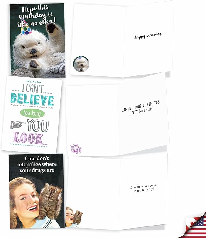 NobleWorks Another Year Older - 20 Boxed Birthday Greeting Cards with Envelopes (4.63 x 6.75 Inch) - AC8839BDG-B2x10