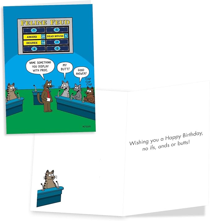 NobleWorks Assortment Pack of 3 Hilarious Birthday Greeting Cards with Envelopes (3 Designs, 1 Each) Game Day VC10232BDG-C1x3