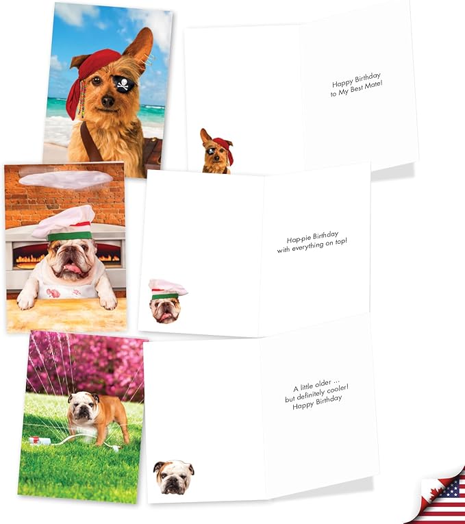 NobleWorks 20 Assorted Box Set Funny Birthday Greeting Cards w/5 x 7 Inch Envelopes (10 Designs, 2 Each) Bday Shaggy Dogs AC3216BDG-B2x10
