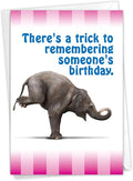 NobleWorks - Funny Happy Belated Birthday Card with Envelope - Congrats Greeting Card, Birthday Fun - Trick to Remembering C6353BDG