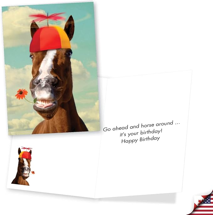 NobleWorks Assorted 3 Pack, Hysterical Animal Women's Birthday Greeting Cards with 5 x 7 Inch Envelopes (3 Designs, 1 Each) Wild Life VC2806BDG-C1x3
