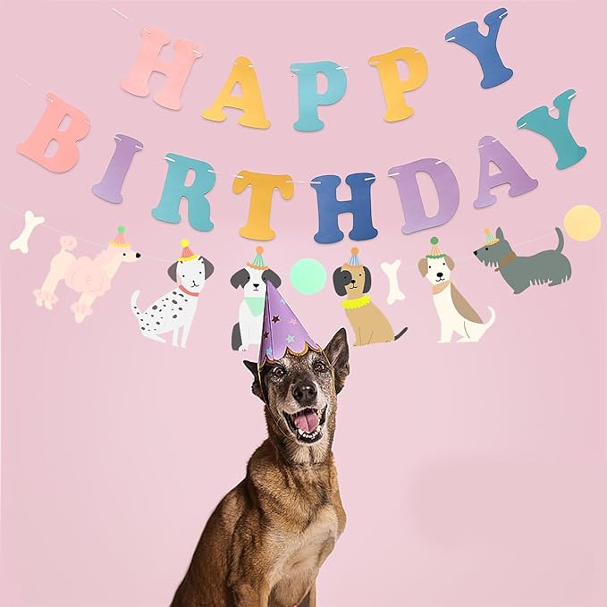 Rainbow Happy Birthday Dog Themed Pennant Banner for Party Decorations for Boys Girls DIY Party Supplies (Color Banner+Dog)