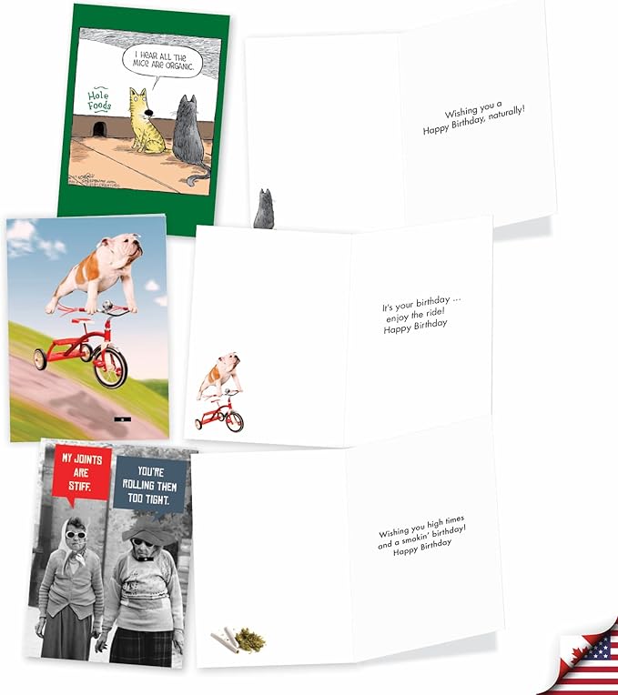 NobleWorks Another Year Older - 20 Boxed Birthday Greeting Cards with Envelopes (4.63 x 6.75 Inch) - AC8839BDG-B2x10