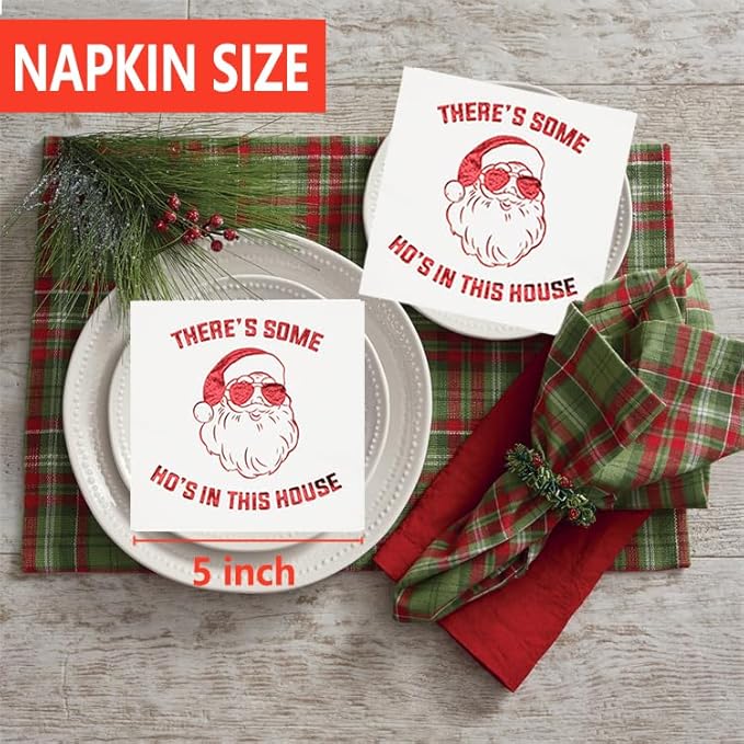 There’s Some Hos in This House Napkins, Funny Christmas Party Decorations, Christmas Xmas Holiday Party Decorations, Christmas Friendsmas Birthday Party Supplies(5 x 5 In, Red Foil, 50-Pack)