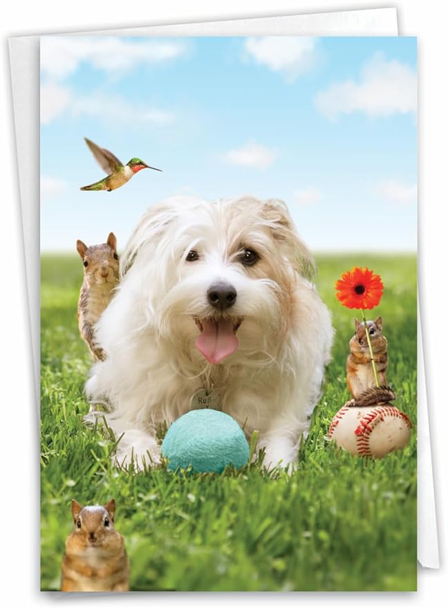 NobleWorks - 1 Happy Birthday Card with Funny Animals - Wildlife and Pet Humor, Fun Birthday Celebration Notecard - Dog Play C3205BDG