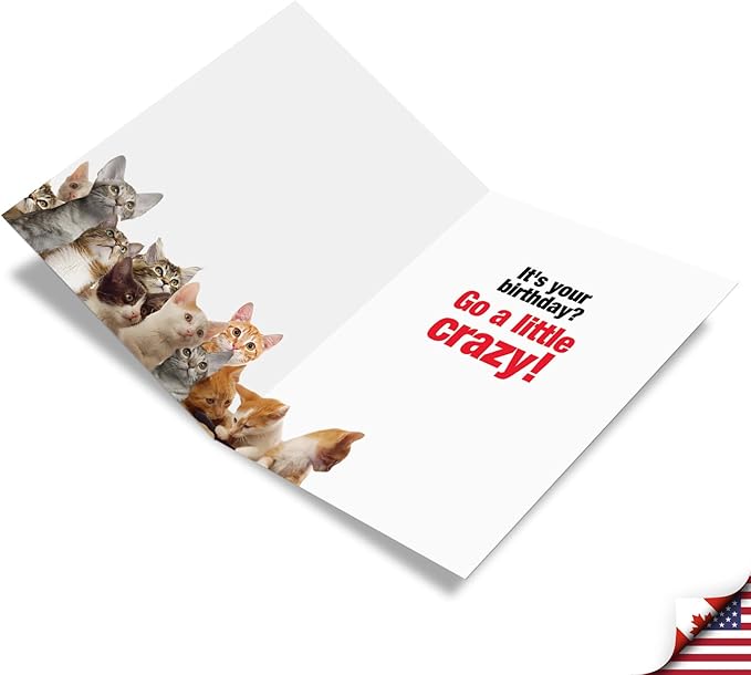 NobleWorks - 1 Funny Jumbo Birthday Greeting Card (8.5 x 11 Inch) - Cute Animal Humor for Birthday, Large Card - Cat Lady Starter Kit J8016