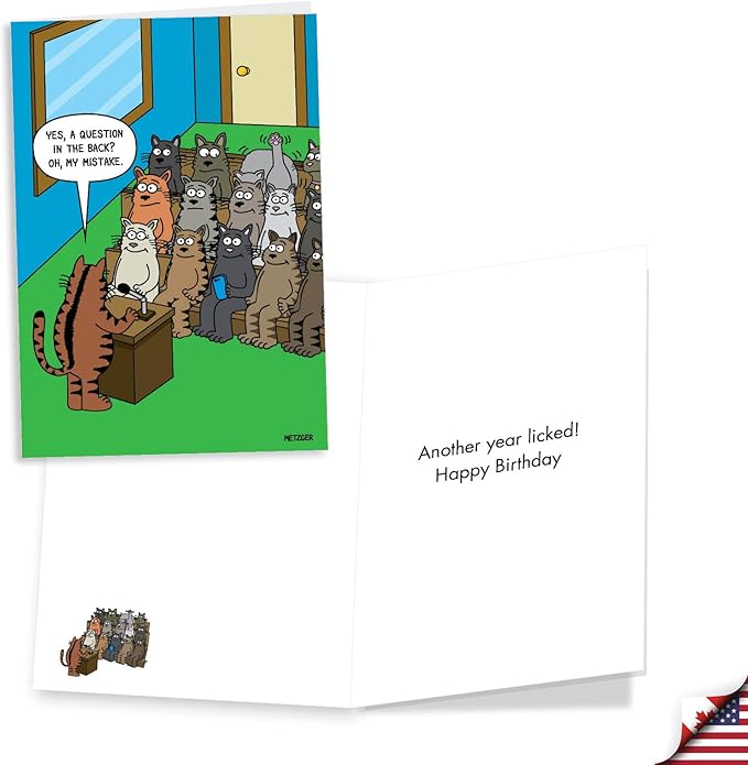 NobleWorks Assorted 3 Pack of Cats Humor Birthday Cartoons Greeting Cards with Envelopes (3 Designs, 1 Each) Cat Laughs VC2805BDG-C1x3