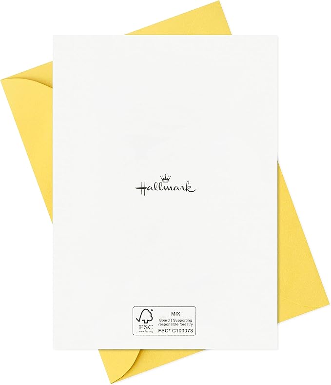 Hallmark Assorted Kids Birthday Cards (24 Blank Cards with Envelopes) Wish Big, Best Day Ever