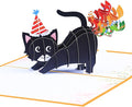 Funny Cat Pop Up Birthday Card, Funny 3D Birthday Cards for Adults and Kids with Envelopes, Handmade Gifts for Cat Mom, Dad, Friend and Every Cat Lover