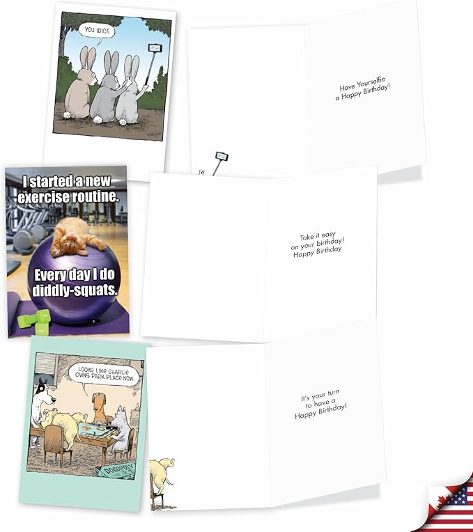 NobleWorks - 20 Funny Box Set Birthday Greeting Cards Assortment with Envelopes (4.63 x 6.75 Inch) Adult Humor Variety Pack for Men and Women - Birthday Bonanza AC8837BDG-B2x10