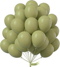 PartyWoo Sage Green Balloons 101pcs 12 Inch Olive Boho Green Latex Helium Balloons for Birthday Baby Shower Graduation Wedding Dinosaur Jungle Golf Football Baseball Theme Party Decorations Green-F11
