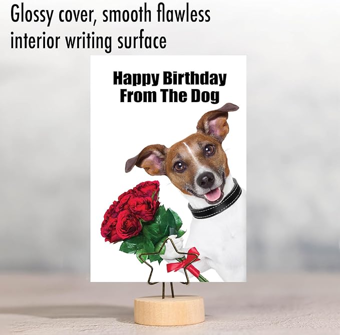 NobleWorks - 1 Funny Birthday Pet Greeting Card w/ 5 x 7 Envelope For Men, Women - From The Dog C3614BDG