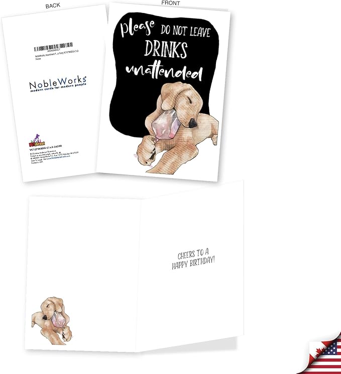 NobleWorks, Assortment Pack of 3 Funny Birthday Greeting Cards with Envelopes (3 Designs, 1 Each) Dog Antics Party VC10796BDG-C1x3