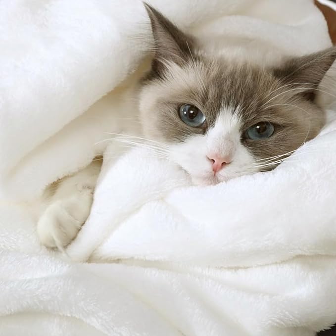 Hansleep Fleece Blanket for Couch White, Super Soft Throw Blanket Flannel Fuzzy, Plush Cozy Blanket for All Seasons, White, Throw 50x60 Inches