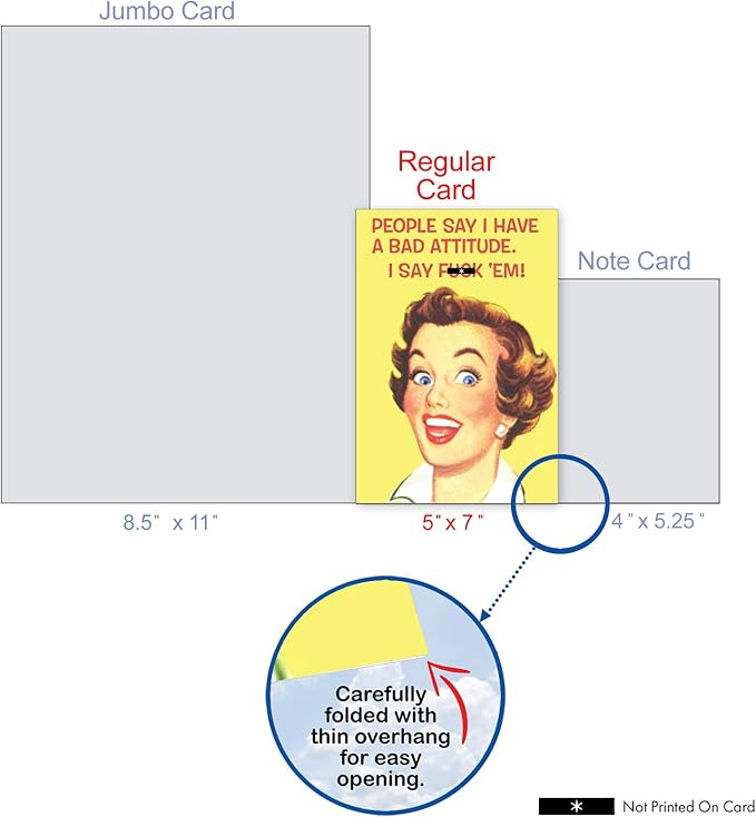 NobleWorks - Humorous Birthday Greeting Card with 5 x 7 Inch Envelope (1 Card) Bday Bad Attitude Birthday 5567
