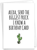 NobleWorks Hilarious Birthday Greeting Card with 5 x 7 Inch Envelope (1 Card) BdayBiggest Prick C10282BDG