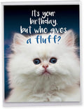 NobleWorks - Hilarious Happy Birthday Card with Envelope (8.5 x 11 Inch) - Funny Animal Greeting Card From All Of Us - Fluffy Kitten J3224BDG-US