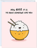 ALY LOU Anniversary Birthday Card for Boyfriend, Wife, Girlfriend, Husband, Him Her - Punny Cute Love Greeting Card, Blank Inside (How Rice it is to Have Someone Like You)