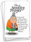 NobleWorks - Pack of 3 Hilarious Birthday Greeting Cards with Envelopes (1 Designs, 3 Each) - Senility Prayer C9046BDG-C3x1