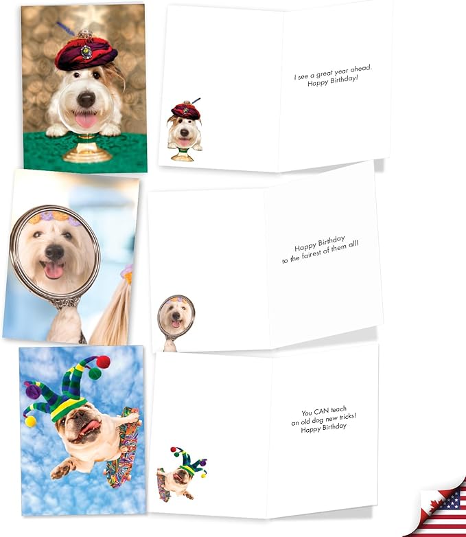 NobleWorks 20 Assorted Box Set Funny Birthday Greeting Cards w/5 x 7 Inch Envelopes (10 Designs, 2 Each) Bday Shaggy Dogs AC3216BDG-B2x10
