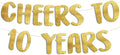 Pre-Strung Cheers to 10 Years Gold Glitter Banner - 10th Birthday and Anniversary Decorations for Boys and Girls - Party Supplies and Gifts