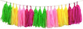 Aimto Pink Yellow and Green Tassel Garland Banner Paper Tassels for Party Decorations,Pack of 20