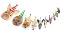 Hooqict Safari Animals Happy Birthday Banner Animal Birthday Decorations Party Animal Banner Garland for Jungle Theme Party Decorations Kids Wild Zoo Party Supplies