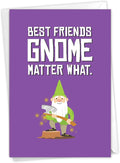 The Best Card Company Funny Birthday Greeting Card w/ 5 x 7 Envelope for Men and Women (1 Card) Friendly Garden Gnomes Besties C6441HBDG