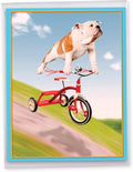 NobleWorks Big Humorous Birthday Greeting Card From Us 8.5 x 11 Inch with Envelope (1 Pack) Big, Jumbo Bday Dog On Trike J3204BDG-US