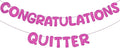 Fulmoon Pre Strung Congratulations Quitter Glitter Banner Funny Retirement Banner Graduation Party Decorations Going Away Supplies Garland for Men Women Gifts, No DIY(Rose Red)