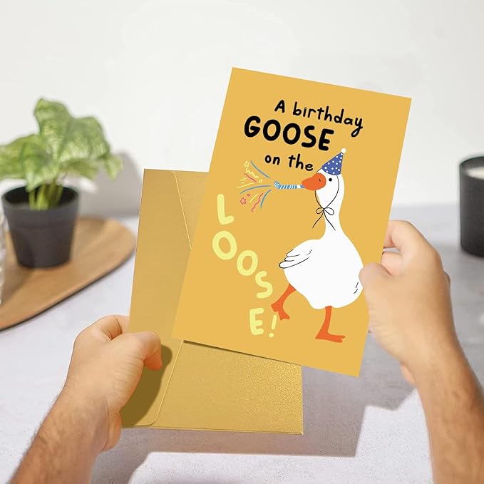 Funny Silly Goose Birthday Card For Him Her, Humorous Goose Birthday Card for Goose lover Brother Sister Dad Mom Husband Wife Bestie Friend, Hilarious Birthday Gift for Women Men