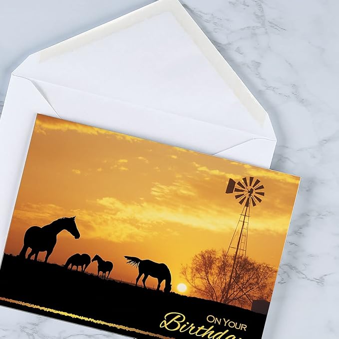 Current Scenic & Graphic Birthday Greeting Cards Value Pack - Set of 20, 10 Unique Designs, Large 5 x 7 Inch Cards, Sentiments Inside, Envelopes Included