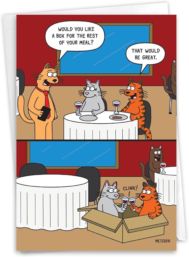 NobleWorks - 1 Funny Birthday Greeting Card w/ 5 x 7 Envelope For Men, Women - Bday Cat Box C7005BDG