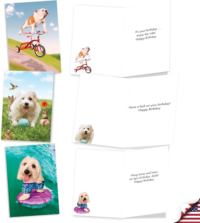 NobleWorks 20 Assorted Box Set Funny Birthday Greeting Cards w/5 x 7 Inch Envelopes (10 Designs, 2 Each) Bday Shaggy Dogs AC3216BDG-B2x10