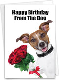 NobleWorks - 1 Funny Birthday Pet Greeting Card w/ 5 x 7 Envelope For Men, Women - From The Dog C3614BDG