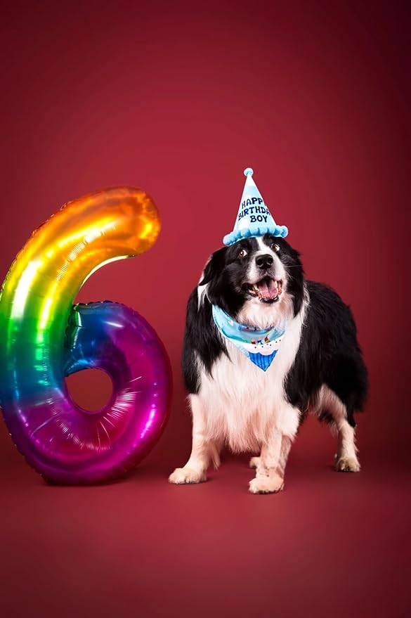Rainbow Number 5 Balloon 40 Inch Rainbow 5 Balloon Giant Helium Foil Number 0 to 9 Balloons Birthday Wedding Party Digital Decorations Number 5