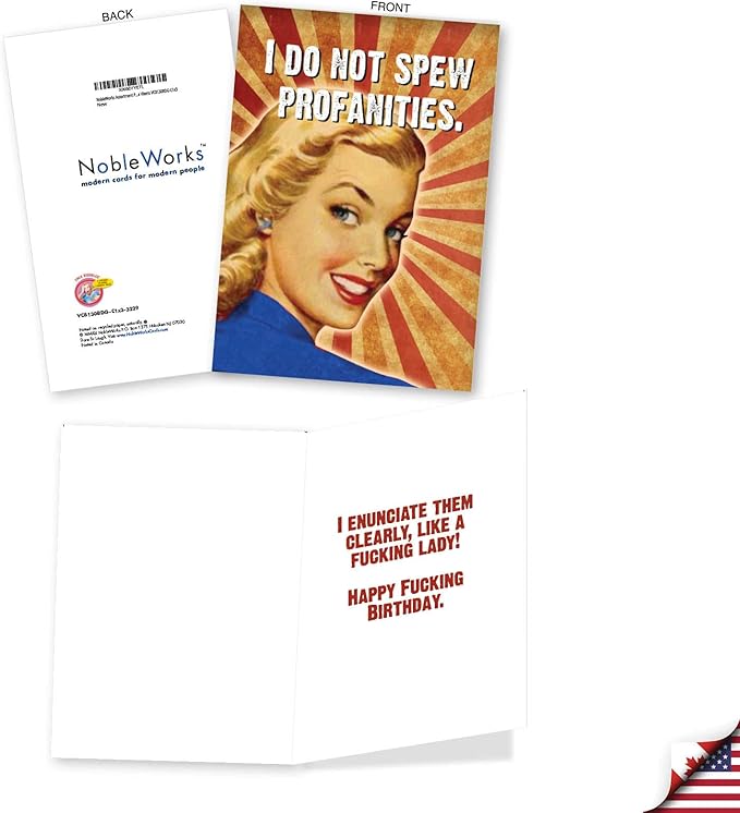 NobleWorks Assortment Pack of 3 Hilarious Birthday Greeting Cards with Envelopes (3 Designs, 1 Each) Vintage Vixens VC8130BDG-C1x3