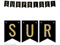 Andaz Press Faux Gold Glitter on Black Party Banner Decorations, Surprise!, Approx 5-Feet, 1-Set, Birthday Wedding Baby Shower Colored Hanging Pennant Decor