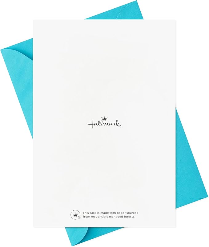 Hallmark Birthday Cards Assortment, 36 Cards with Envelopes (Party Time)