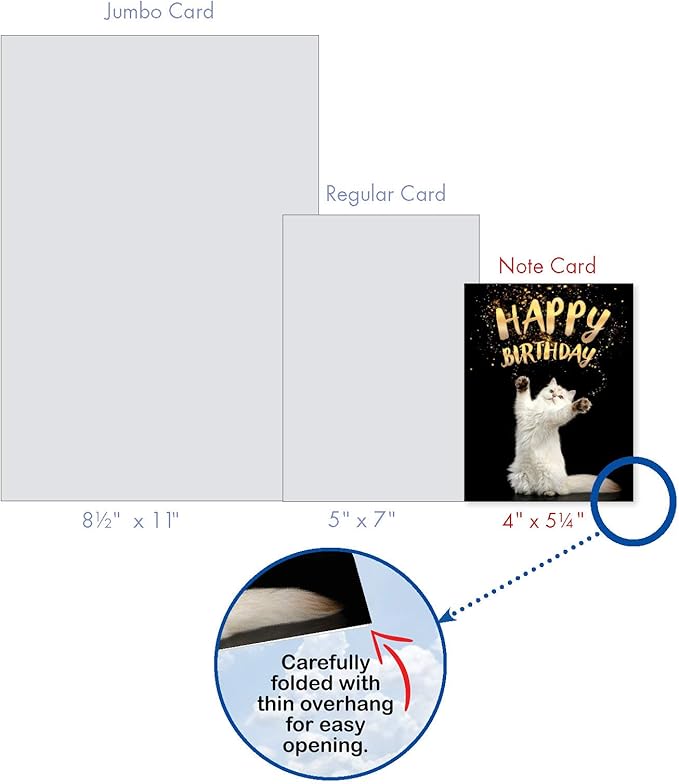 The Best Card Company - 10 Happy Birthday Note Cards Blank - Assorted Bulk Birthday Notecards, Cute Animals Boxed Set (4 x 5.12 Inch) - Cat Sent Greetings AM6112BDB-B1x10