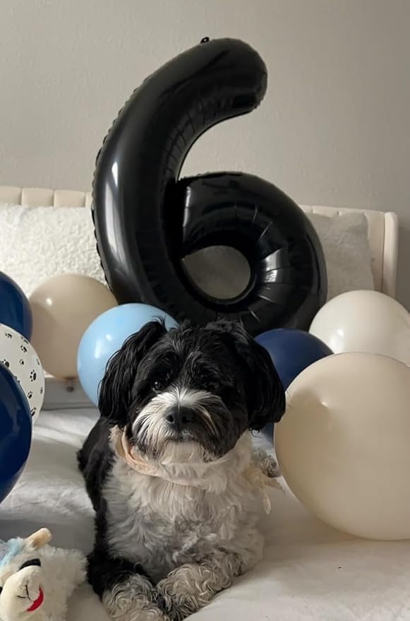 Number 26 Balloons, Balloons for Man Woman 26th Black Birthday Party Decoration, 40 Inch Foil Number Ballon for 26, 62, 2026 Anniversary, Bridal Shower, Graduation, Halloween, New Year