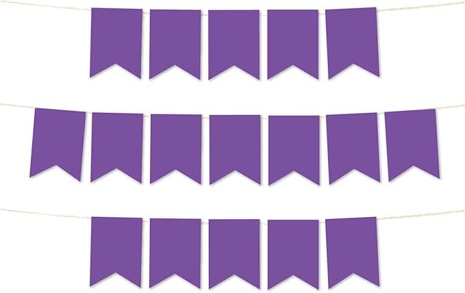 Andaz Press Hanging Pennant Banner with String, Royal Purple, 1-Set, 24 Pennants, Approx. 12-Feet Long